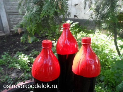 SAM_0190