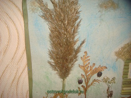 Поделки из камыша своими руками